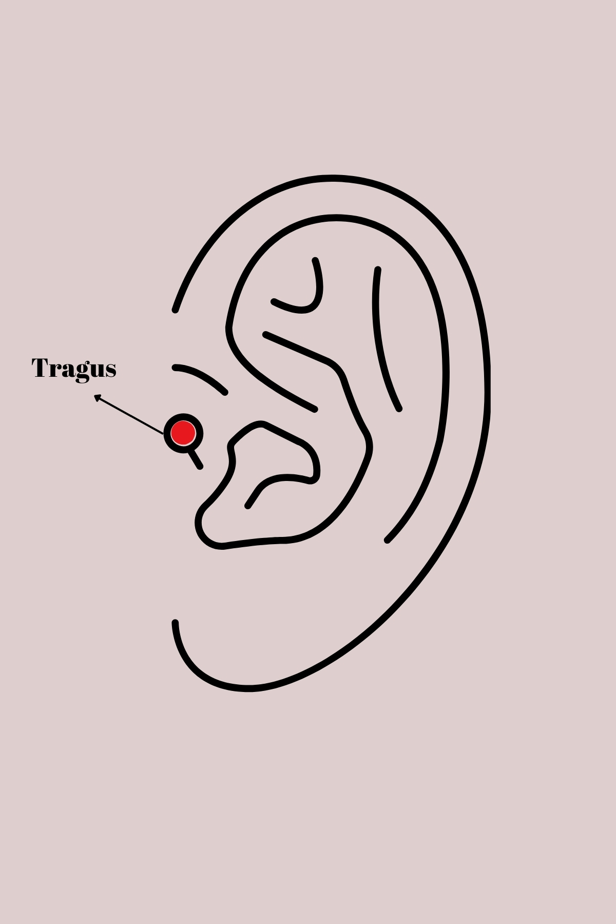 316L Çelik Gümüş Renk Zirkon Taşlı Tragus Piercing 5886