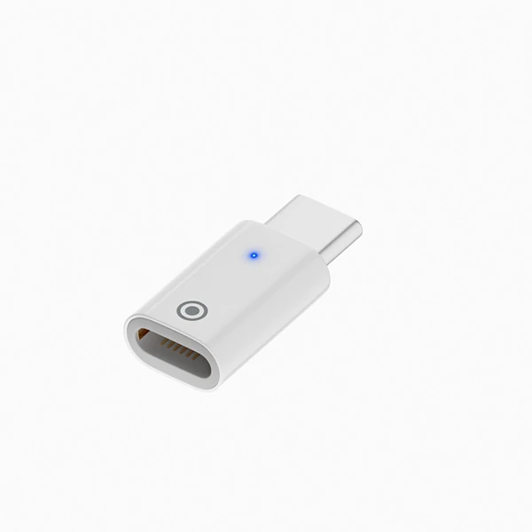 Ally Düz Model Lightning to Type-C Dönüştürücü Apple Pencil Kalem Şarj Adaptörü-(5775)