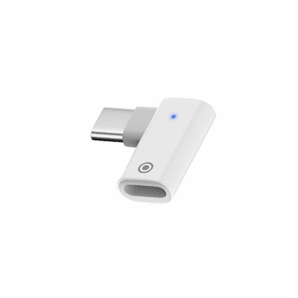 Ally L Tipi Lightning to Type-C Dönüştürücü Apple Pencil Kalem Şarj Adaptörü-(1903)